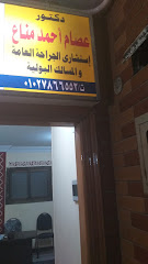 Essam Ahmed Mnaa