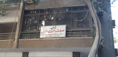 مدحت الفطاطرى
