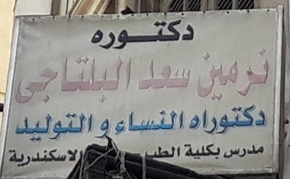 نرمين سعد البلتاجى