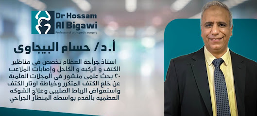 حسام البيجاوى