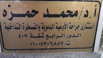 Mohamed Hmzh