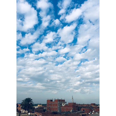 ريحاب عابدين