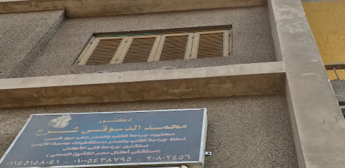 Mohamed El-Dswky Shra