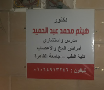 Haitham Mohamed Abdelhamid