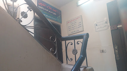 أحمد علاء الدين والي
