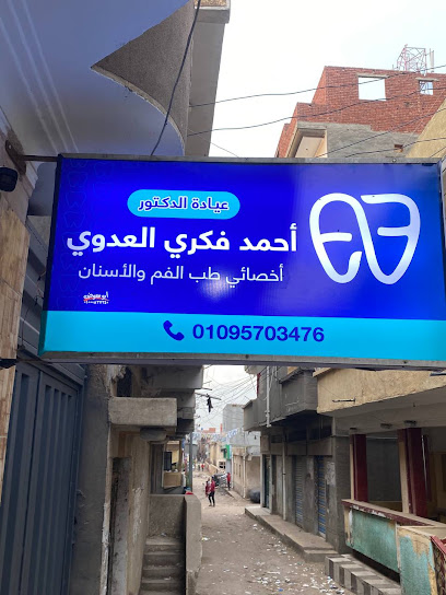 أحمد فكري