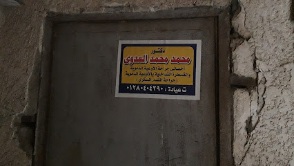 محمد محمد العدوى