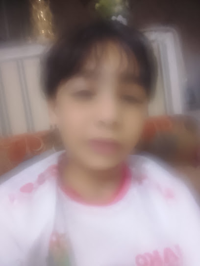 محمد حسين اللبيدي