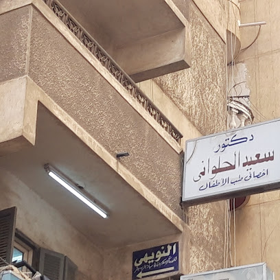 Said Salm El-Hlwany