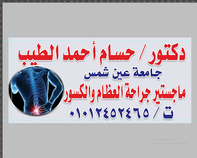 حسام أحمد الطيب