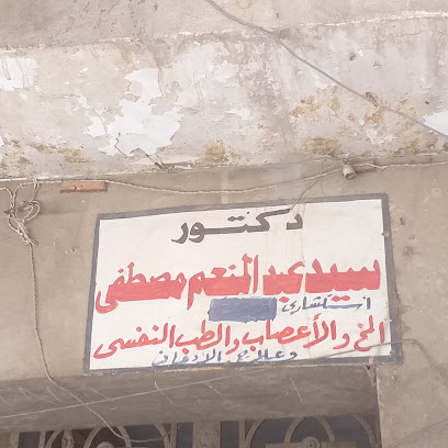 Sayed Abdelmoneim Mostafa