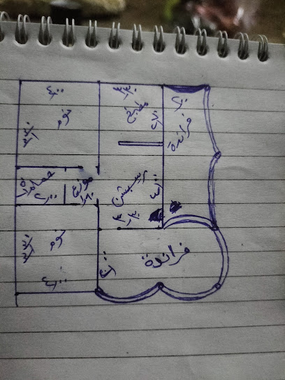 أحمد فهيم على الهنداوى