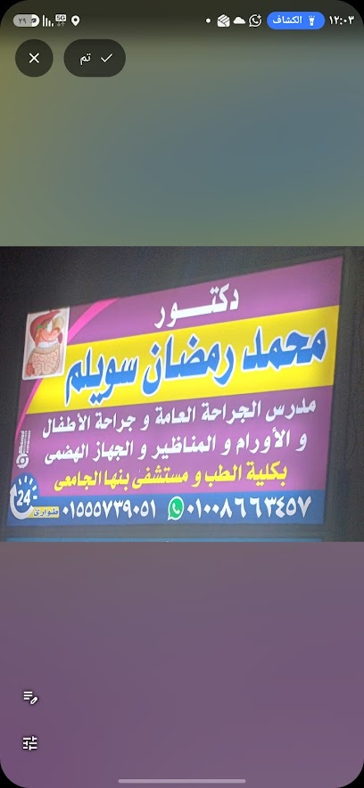 Mohamed Ramadan Swylm