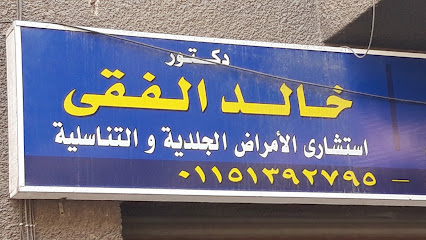 Khaled El-Fky