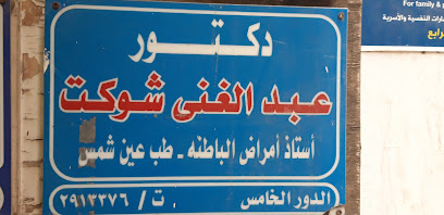 Abdelghany Shwkt