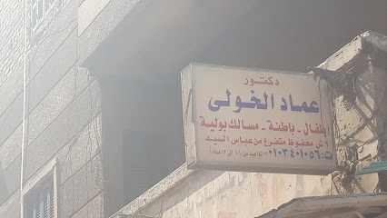 عماد الخولى