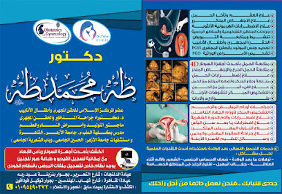 طه محمد طه