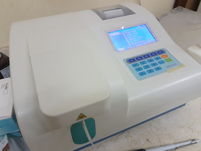 Ahmed Ali El Deeb Clinical