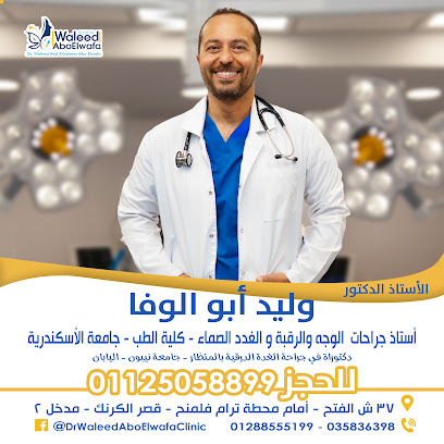 Walid Abdelhalim Abw El-Wafaa