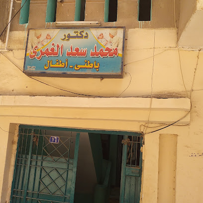 Mohamed Saad El-Ghmry