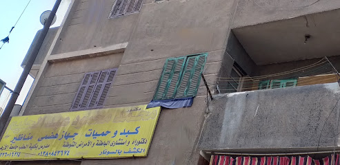 محمد محمود عبدالحليم