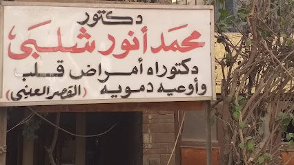 Mohamed Anwr Shalaby