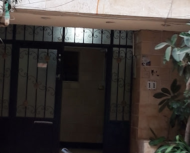 عزة عصمت مصطفى