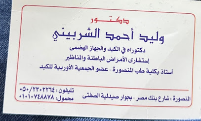 Walid El-Shrbyny