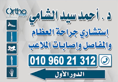 أحمد الشامي