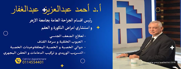 Ahmed Abdelaziz Abdalghfar