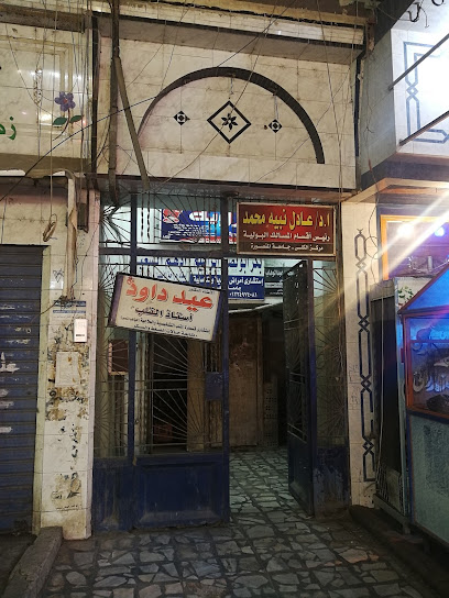 عادل نبيه محمد
