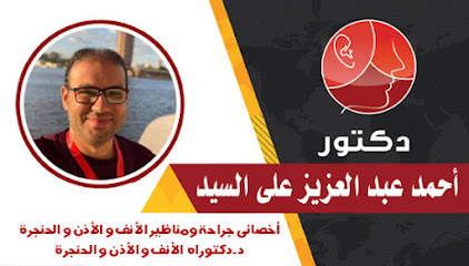 احمد عبد العزيز على السيد