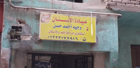 وجيه أحمد حسن