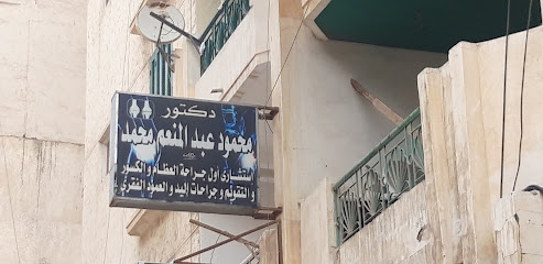 Mahmoud Abdelmoneim Mohamed