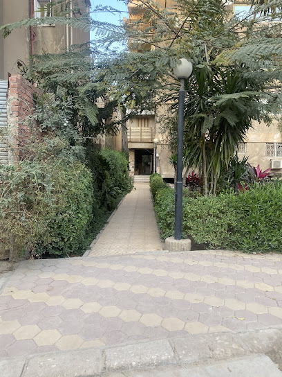 Mohamed Trad