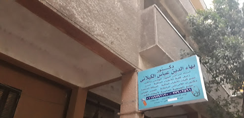 Bha Eldin Abas El-Kylany