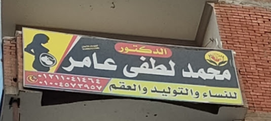 Mohamed Lotfy Aamr