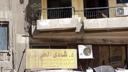 Shady El-Alwany