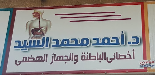 أحمد محمد السيد