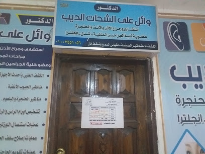 وائل على الشحات الديب