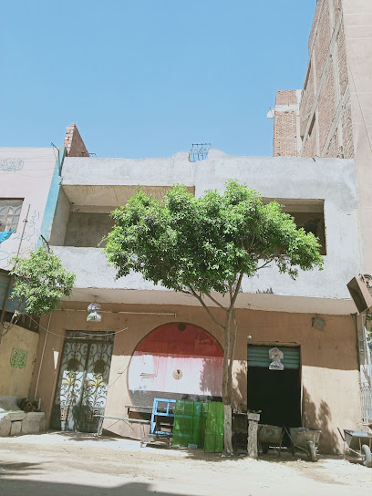 Mohamed Fawzy El-Snwty
