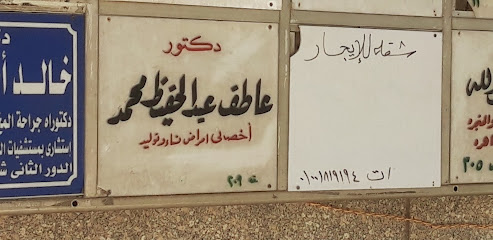 Atef Abdelhfyz Mohamed