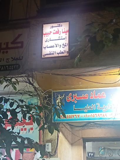 Mina Refaat Habib