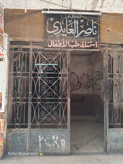 Nasr El-Aaydy