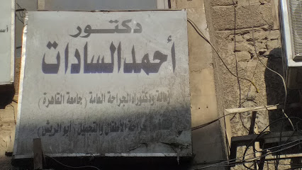 أحمد السادات
