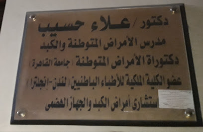 علاء حسيب