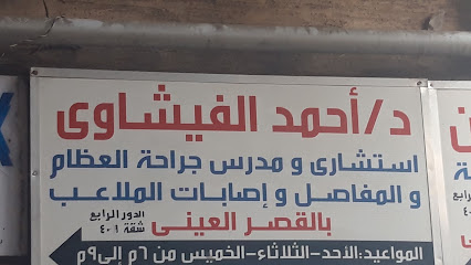 أحمد الفيشاوى