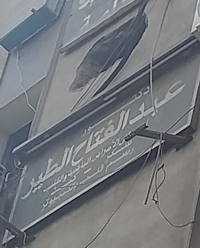 عبد الفتاح الطير