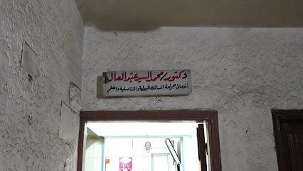 Mohamed El-Sayed Abdelaal