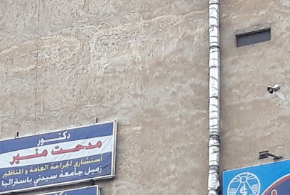 Medhat Mounir